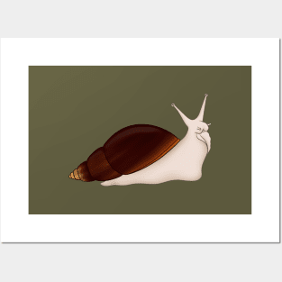 Giant African Land Snail, Achatina fulica, jade Posters and Art